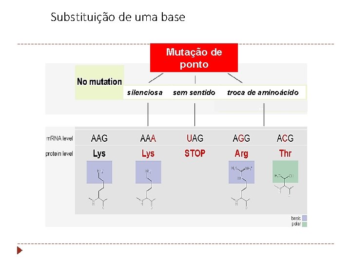 Substituição de uma base Mutação de ponto silenciosa sem sentido troca de aminoácido ,