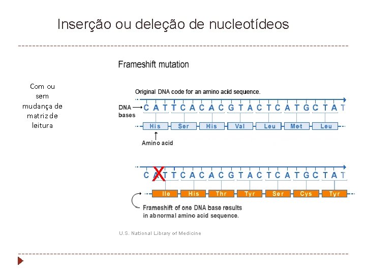 Inserção ou deleção de nucleotídeos Com ou sem mudança de matriz de leitura X