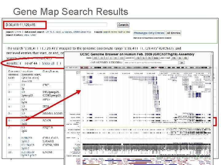 Gene Map Search Results 46 Copyright Open. Helix. No use or reproduction 