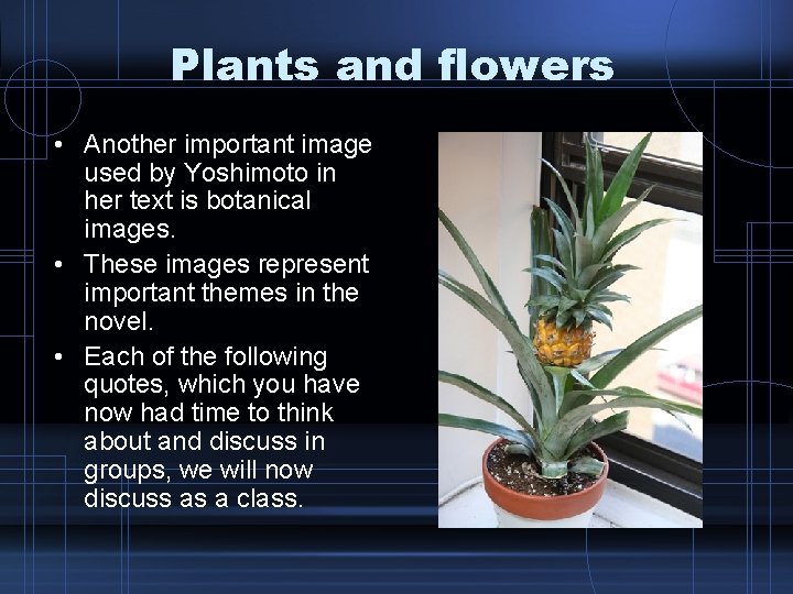 Plants and flowers • Another important image used by Yoshimoto in her text is