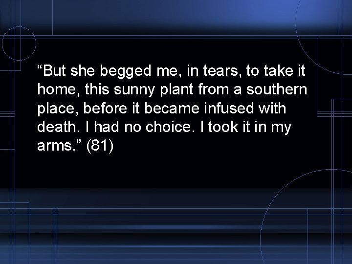 “But she begged me, in tears, to take it home, this sunny plant from