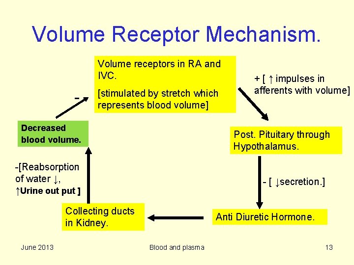Volume Receptor Mechanism. Volume receptors in RA and IVC. - [stimulated by stretch which