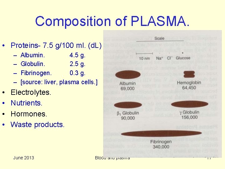 Composition of PLASMA. • Proteins- 7. 5 g/100 ml. (d. L) – – •