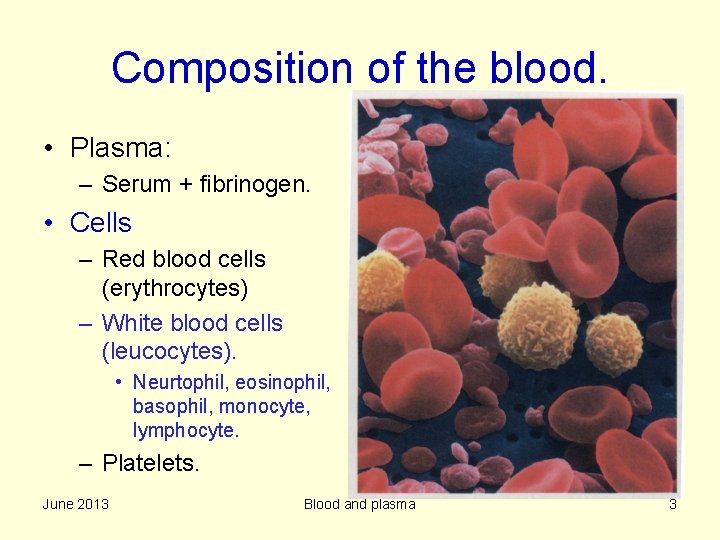 Composition of the blood. • Plasma: – Serum + fibrinogen. • Cells – Red