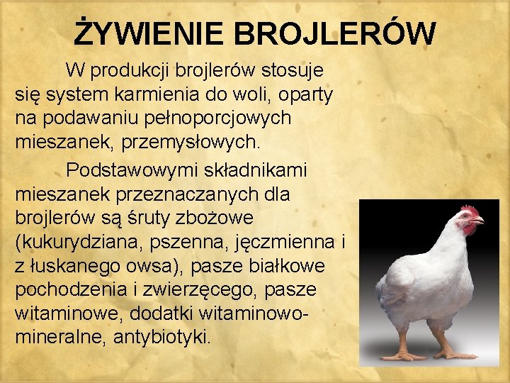 ŻYWIENIE BROJLERÓW W produkcji brojlerów stosuje się system karmienia do woli, oparty na podawaniu