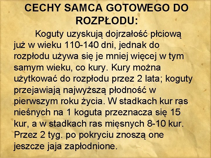 CECHY SAMCA GOTOWEGO DO ROZPŁODU: Koguty uzyskują dojrzałość płciową już w wieku 110 -140