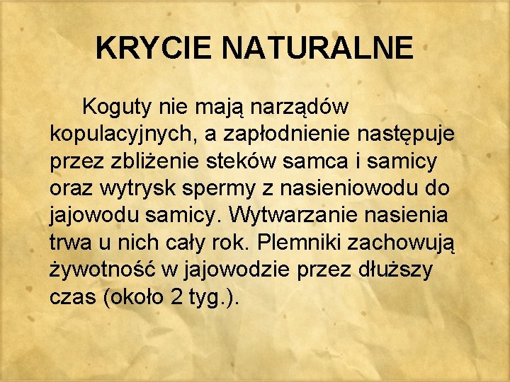 KRYCIE NATURALNE Koguty nie mają narządów kopulacyjnych, a zapłodnienie następuje przez zbliżenie steków samca