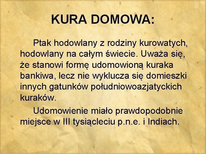 KURA DOMOWA: Ptak hodowlany z rodziny kurowatych, hodowlany na całym świecie. Uważa się, że