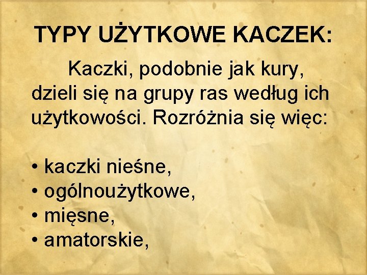 TYPY UŻYTKOWE KACZEK: Kaczki, podobnie jak kury, dzieli się na grupy ras według ich