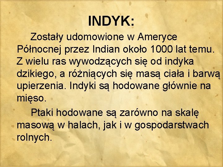 INDYK: Zostały udomowione w Ameryce Północnej przez Indian około 1000 lat temu. Z wielu