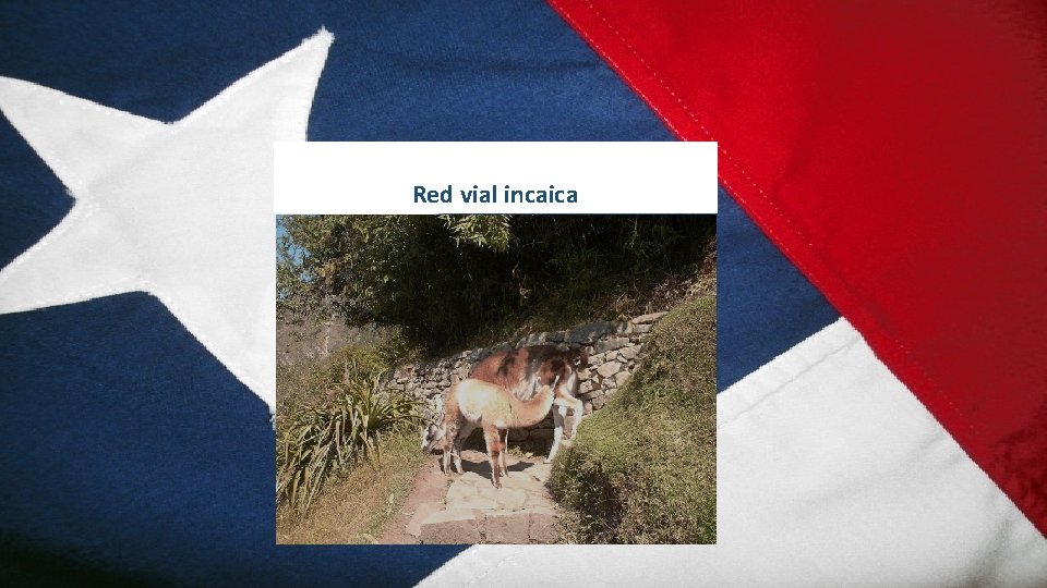 Red vial incaica 