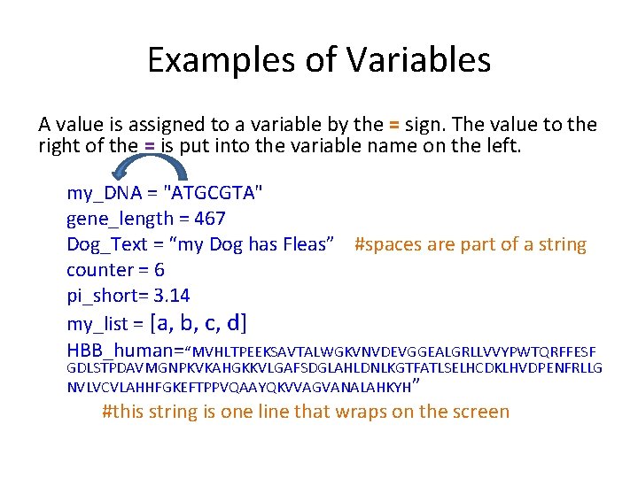Examples of Variables A value is assigned to a variable by the = sign. Examples of Variables A value is assigned to a variable by the = sign.