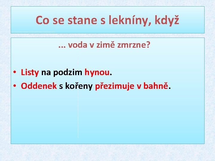 Co se stane s lekníny, když. . . voda v zimě zmrzne? • Listy