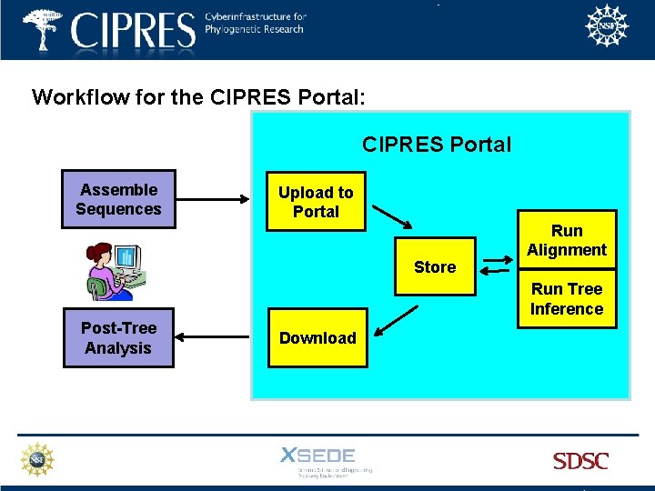 Workflow for the CIPRES Portal: CIPRES Portal Assemble Sequences Upload to Portal Store Run
