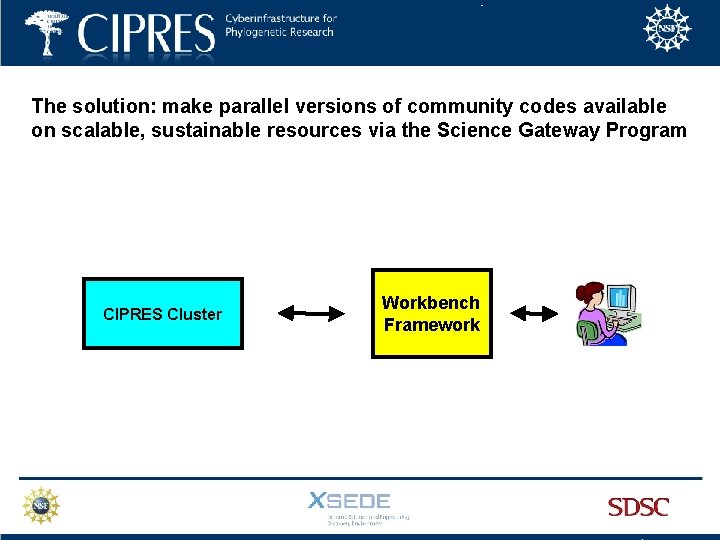 The solution: make parallel versions of community codes available on scalable, sustainable resources via