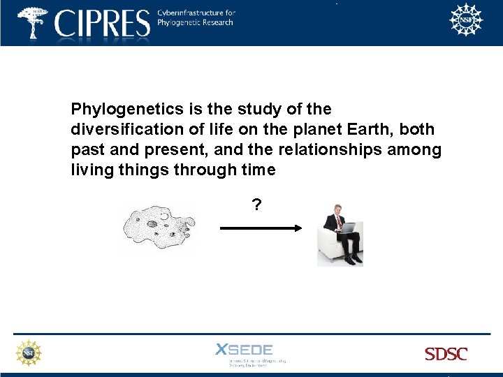 Phylogenetics is the study of the diversification of life on the planet Earth, both