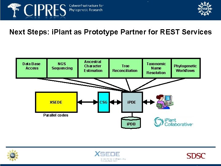 Next Steps: i. Plant as Prototype Partner for REST Services Data Base Access NGS