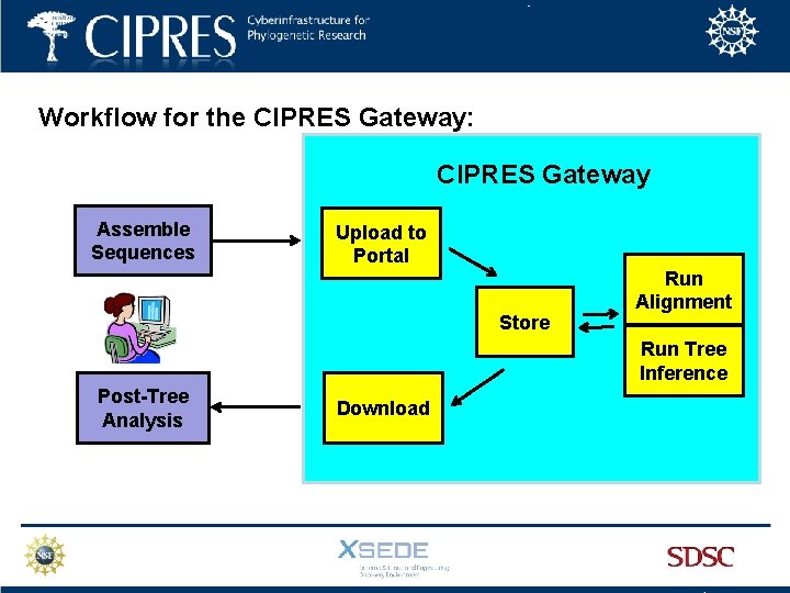 Workflow for the CIPRES Gateway: CIPRES Gateway Assemble Sequences Upload to Portal Store Run