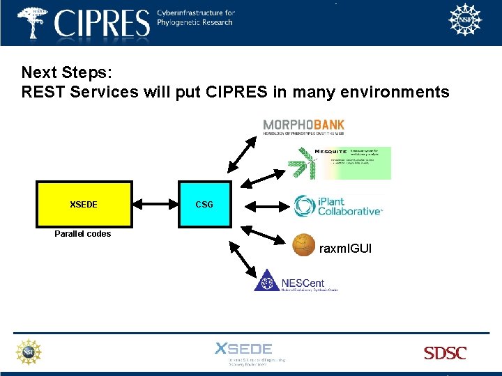 Next Steps: REST Services will put CIPRES in many environments XSEDE CSG Parallel codes