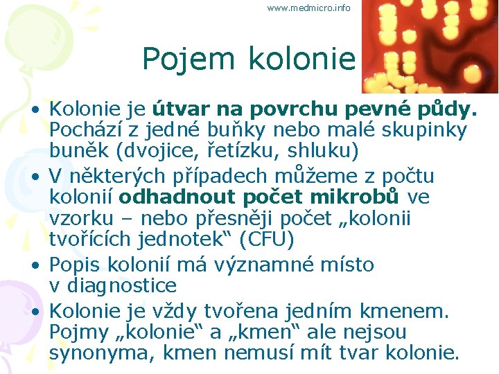 www. medmicro. info Pojem kolonie • Kolonie je útvar na povrchu pevné půdy. Pochází