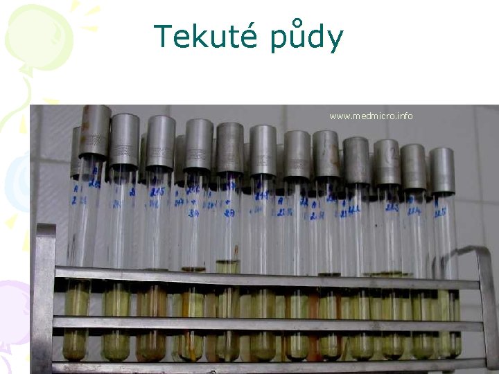 Tekuté půdy www. medmicro. info 