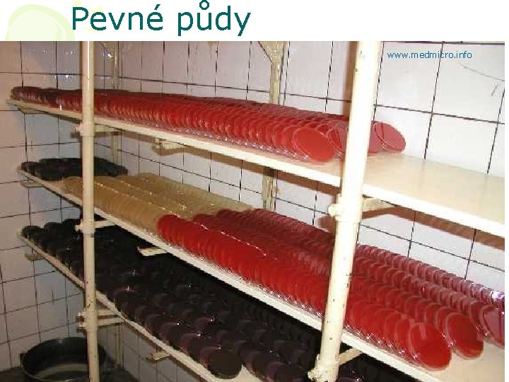 Pevné půdy www. medmicro. info 