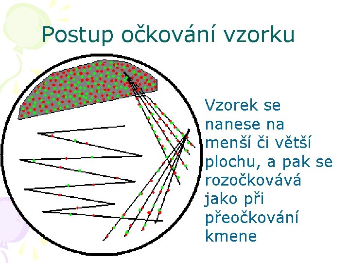 Postup očkování vzorku Vzorek se nanese na menší či větší plochu, a pak se