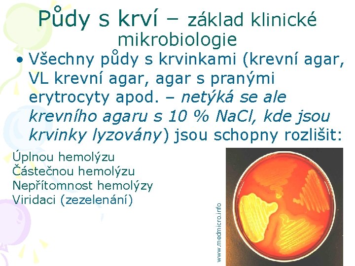 Půdy s krví – základ klinické mikrobiologie Úplnou hemolýzu Částečnou hemolýzu Nepřítomnost hemolýzy Viridaci