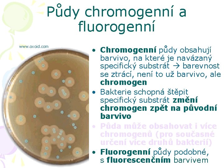 Půdy chromogenní a fluorogenní www. oxoid. com • Chromogenní půdy obsahují barvivo, na které