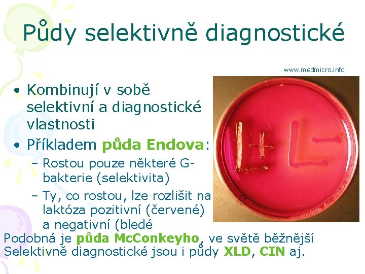 Půdy selektivně diagnostické www. medmicro. info • Kombinují v sobě selektivní a diagnostické vlastnosti