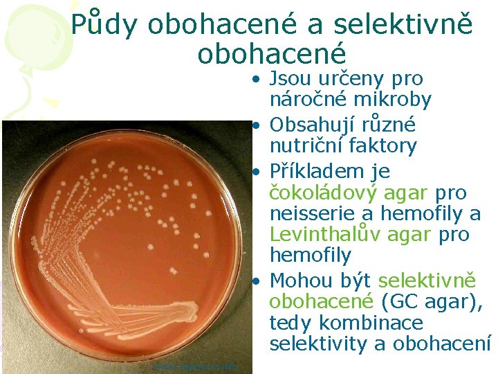 Půdy obohacené a selektivně obohacené • Jsou určeny pro náročné mikroby • Obsahují různé