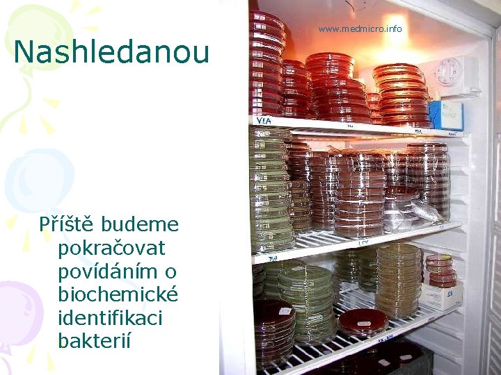 Nashledanou Příště budeme pokračovat povídáním o biochemické identifikaci bakterií www. medmicro. info 