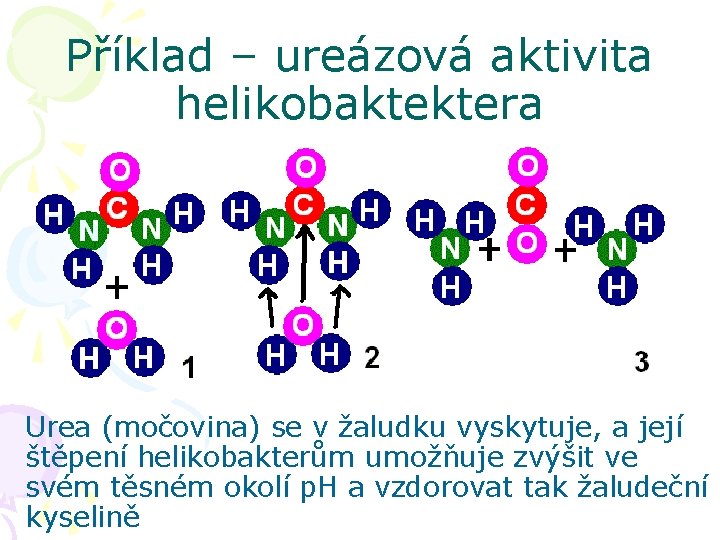 Příklad – ureázová aktivita helikobaktektera Urea (močovina) se v žaludku vyskytuje, a její štěpení