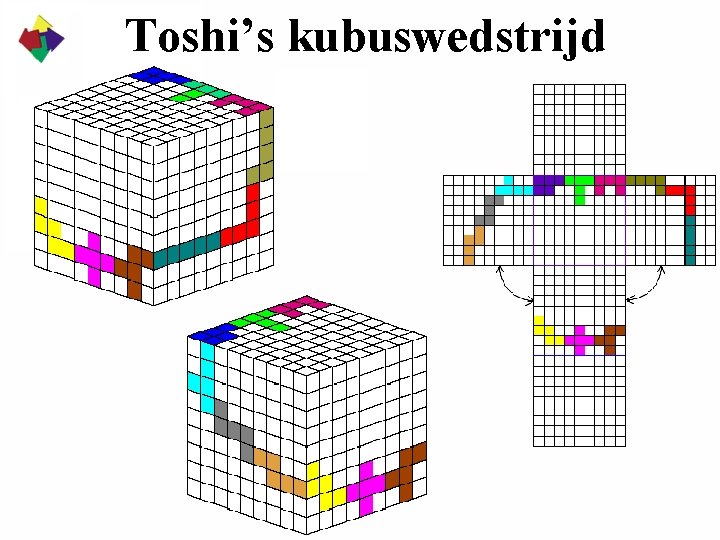 Toshi’s kubuswedstrijd Toshi’s kubuswedstrijd