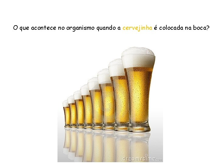 O que acontece no organismo quando a cervejinha é colocada na boca? 