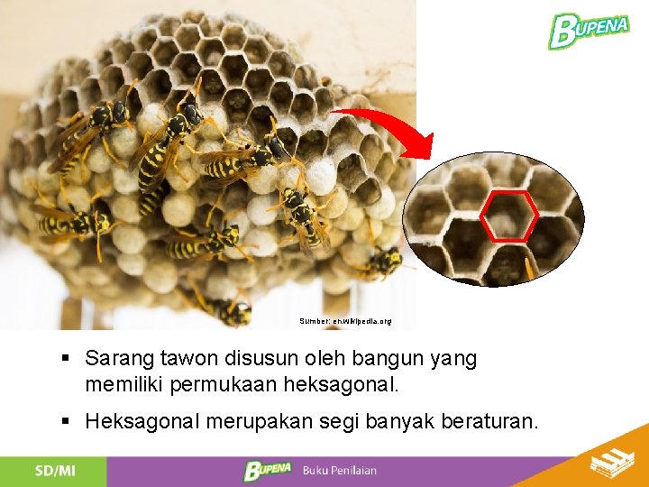 Sumber: en. wikipedia. org § Sarang tawon disusun oleh bangun yang memiliki permukaan heksagonal. Sumber: en. wikipedia. org § Sarang tawon disusun oleh bangun yang memiliki permukaan heksagonal.