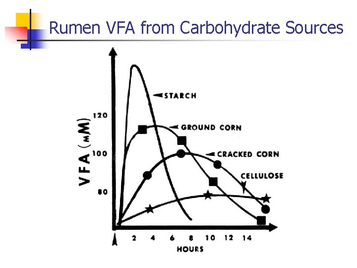 Rumen VFA from Carbohydrate Sources 