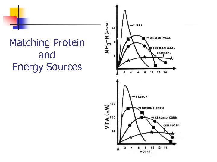 Matching Protein and Energy Sources 