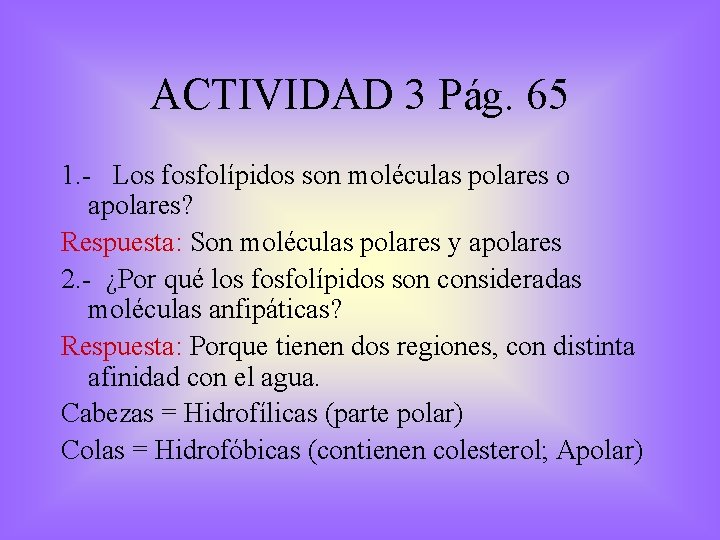 ACTIVIDAD 3 Pág. 65 1. - Los fosfolípidos son moléculas polares o apolares? Respuesta: