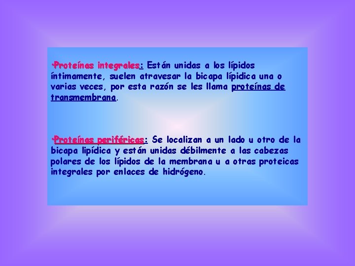  • Proteínas integrales: integrales Están unidas a los lípidos íntimamente, suelen atravesar la