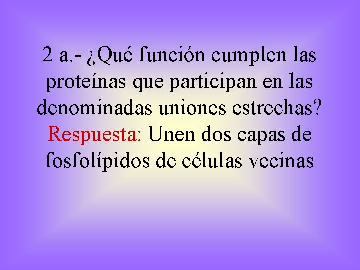 2 a. - ¿Qué función cumplen las proteínas que participan en las denominadas uniones