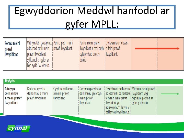 Egwyddorion Meddwl hanfodol ar gyfer MPLL: 