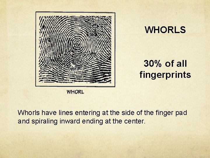WHORLS 30% of all fingerprints Whorls have lines entering at the side of the
