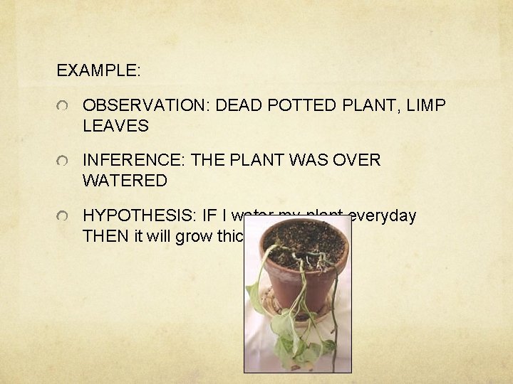 EXAMPLE: OBSERVATION: DEAD POTTED PLANT, LIMP LEAVES INFERENCE: THE PLANT WAS OVER WATERED HYPOTHESIS: