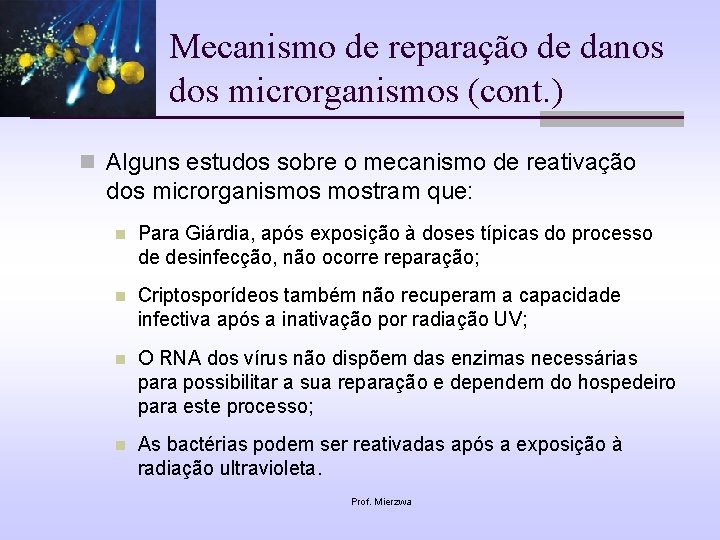 Mecanismo de reparação de danos dos microrganismos (cont. ) n Alguns estudos sobre o