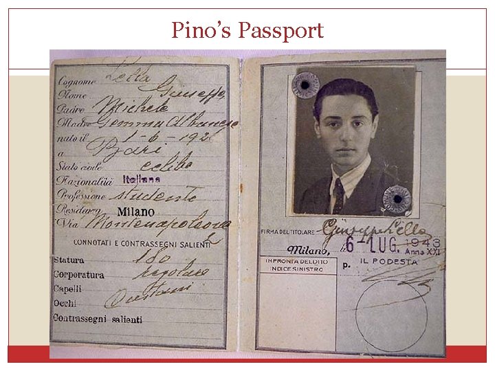 Pino’s Passport 