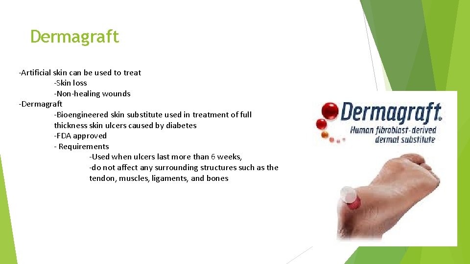 Dermagraft -Artificial skin can be used to treat -Skin loss -Non-healing wounds -Dermagraft -Bioengineered