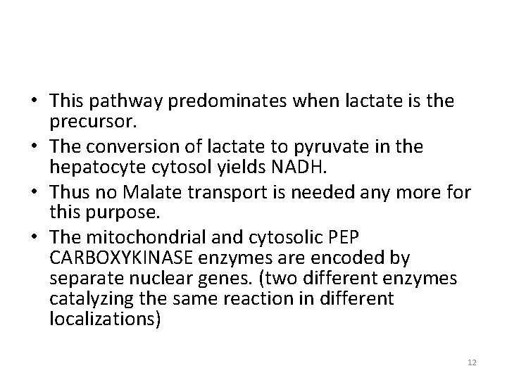  • This pathway predominates when lactate is the precursor. • The conversion of