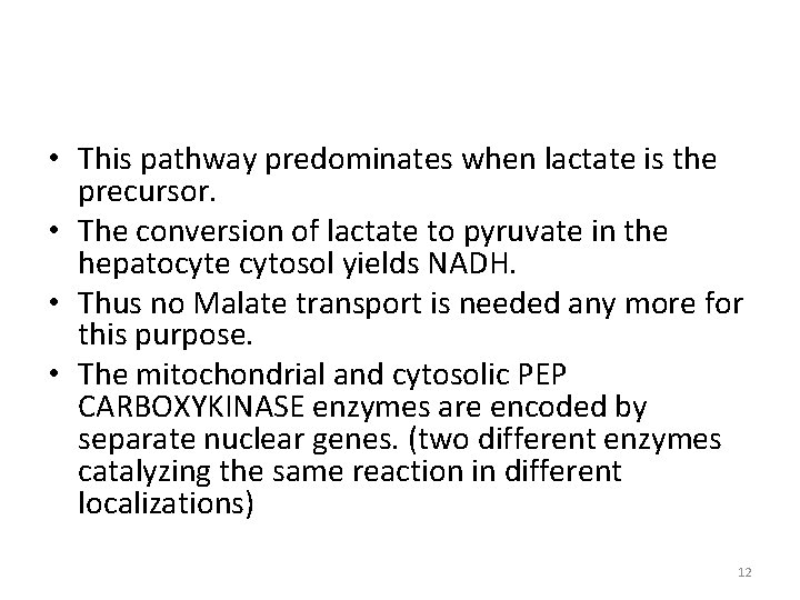  • This pathway predominates when lactate is the precursor. • The conversion of