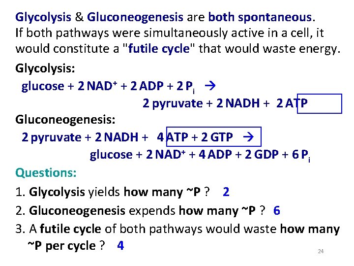 Glycolysis & Gluconeogenesis are both spontaneous. If both pathways were simultaneously active in a